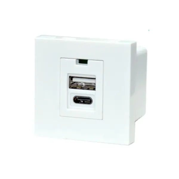 Dual Port TypeA + C Usb Charger Socket Module