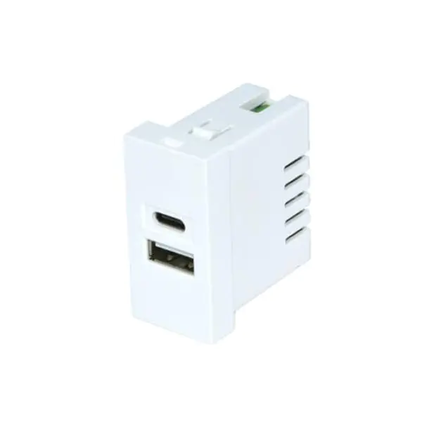 Twin Port TypeA + C Usb Charger Socket Module